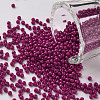 11/0 Grade A Baking Paint Glass Seed Beads X-SEED-N001-A-1057-1