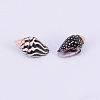 Natural Spril Shell Beads SSHEL-WH0001-22-2