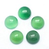 Natural Dyed & Heated Green Onyx Agate Cabochons X-G-P393-R38-12mm-1