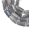Natural Labradorite Beads Strands G-C270-K19-01-4