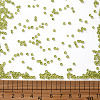 (Repacking Service Available) Glass Seed Beads SEED-C013-2mm-4-3