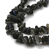 Natural Labradorite Chip Bead Strands G-M205-57A-3