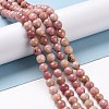 Natural Rhodonite Beads Strands G-E571-01A-4