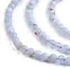 Natural Blue Lace Agate Beads Strands X-G-K366-B02-02-5