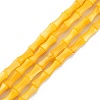 Natural Freshwater Shell Beads Strands SHEL-G013-01J-1