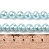Electroplated Shell Pearl Beads Strands BSHE-G041-8mm-03-4