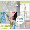55Pcs 11 Colors Transparent Acrylic Bead Caps MACR-PH0002-05-5