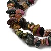 Natural Multicolor Tourmaline Chips Beads Strands F082-01-4