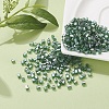 6/0 Glass Seed Beads SEED-YW0001-25F-5