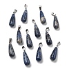 Natural Sodalite Pendants G-T081-30-1