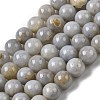 Natural Gemstone Beads Strands G-L641-A01-01-2