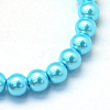 Baking Painted Pearlized Glass Pearl Round Bead Strands HY-Q003-14mm-48-2