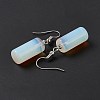 Gemstone Cylindrical Dangle Earrings EJEW-D188-01P-5