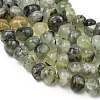 Natural Prehnite Beads Strands G-P617-B01-01-4