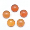 Natural Carnelian Cabochons G-P393-R41-10mm-1