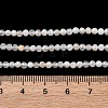 Natural White Moonstone Beads Strands G-G188-B09-01-5