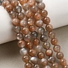 Natural Grey Moonstone Beads Strands G-F632-24-02-01-2
