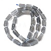 Natural Labradorite Beads Strands G-C270-K19-01-3