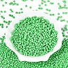 Baking Paint Glass Seed Beads SEED-N007-30D-2