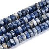 Natural Blue Spot Jasper Beads Strands G-N357-14A-04-2