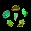 Luminous Resin Shell Shape & Conch Display Decorations RE-CBA17C4-22-4