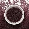 FGB 8/0 Grade A Round Glass Seed Beads SEED-Q006-3mm-F10-5