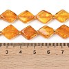 Natural Amber Beads Strands G-Z106-D01-02-3