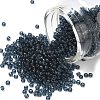 MIYUKI Round Rocailles Beads SEED-X0055-RR2411-1