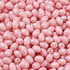 Baking Painted Glass Seed Beads SEED-C004-04D-3