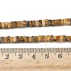 Natural Picture Jasper Beads Strands G-I394-A01-5