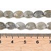 Natural Labradorite Beads Strands G-H349-A01-03-4