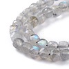 Natural Labradorite Beads Strands G-A026-B03-4mm-3