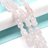 Natural Rose Quartz Beads Strands G-P528-G02-01-2