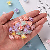 Transparent Acrylic Beads X-TACR-S152-02A-5