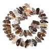 Natural Botswana Agate Beads Strands G-L649-A06-01-3