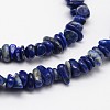 Chips Natural Lapis Lazuli Beads Strands X-G-N0164-46-2