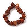 Natural Carnelian Beads Strands G-I283-F09-3