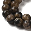 Natural Chiastolite Beads Strands G-Q161-A03-04-4