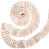 5M Double Layer Polyester Pleated Lace Ribbon OCOR-CY0001-41E-6