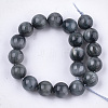 Natural Hawk's Eye Beads Strands G-S333-10mm-027-3
