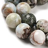 Natural Larimar Beads Strands G-P524-A02-02-4