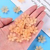 Transparent Acrylic Beads X1-MACR-S373-107-D01-6