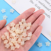 Transparent Acrylic Beads LS-MACR-S373-26E-11-5