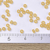 MIYUKI Round Rocailles Beads X-SEED-G007-RR0132F-4
