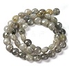 Natural Labradorite Beads Strands G-T047-A18-01-3