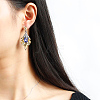 Alloy Dangle Stud Earrings EJEW-N0020-163D-3