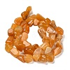 Natural Gemstone Beads Strands G-P497-01E-14-3