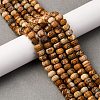 Natural Picture Jasper Beads Strands G-P587-D12-02-1