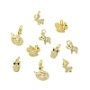 10Pcs 5 Styles Autumn Theme Brass Micro Pave Clear & Black Cubic Zirconia Charms KK-CJ0004-21-8