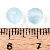 Transparent Acrylic Ball Beads FACR-R021-6mm-06-4